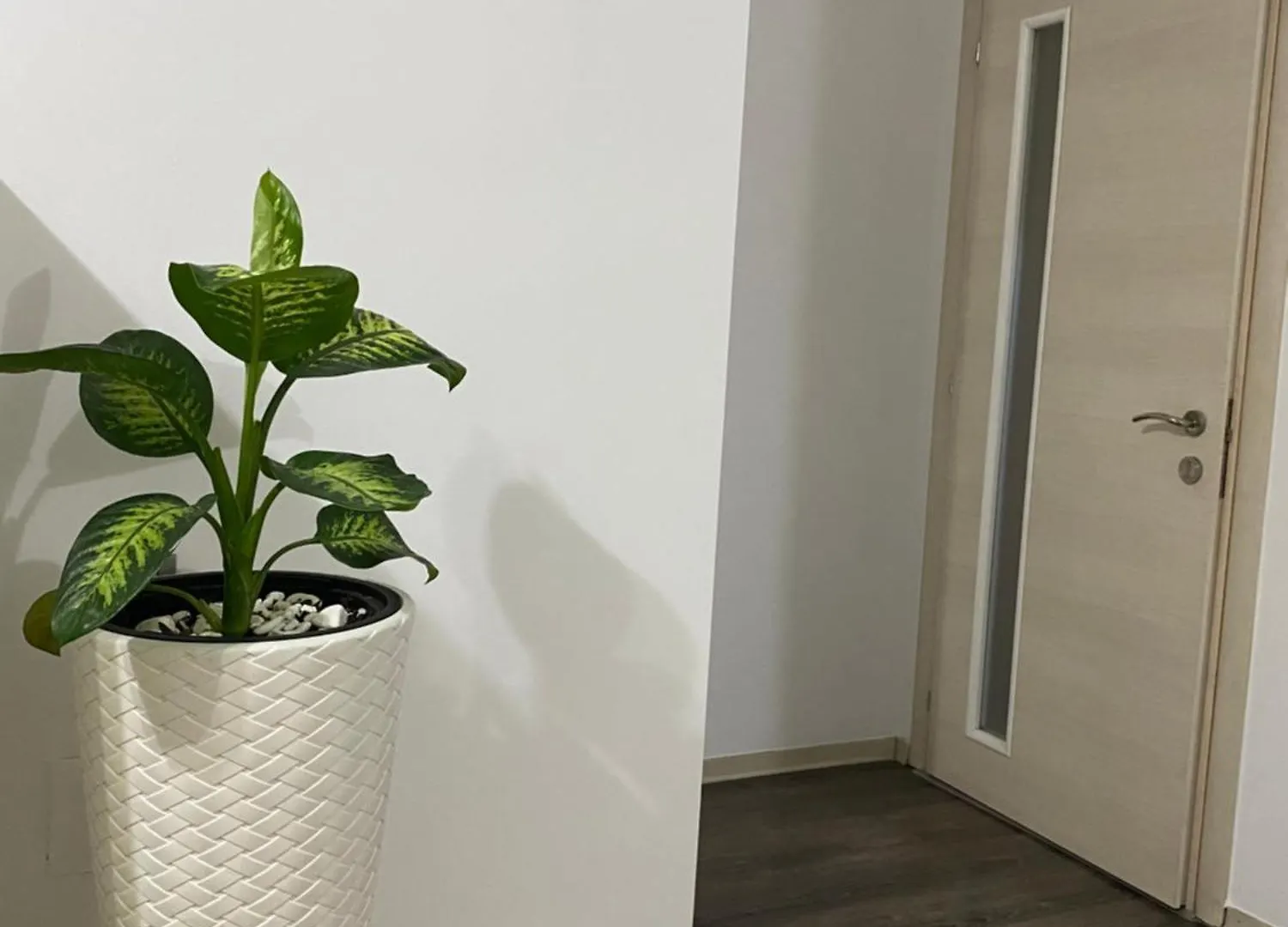 Main Apartment Tirana Albania