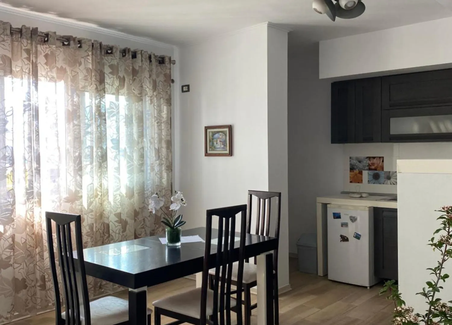 Main Apartment Tirana