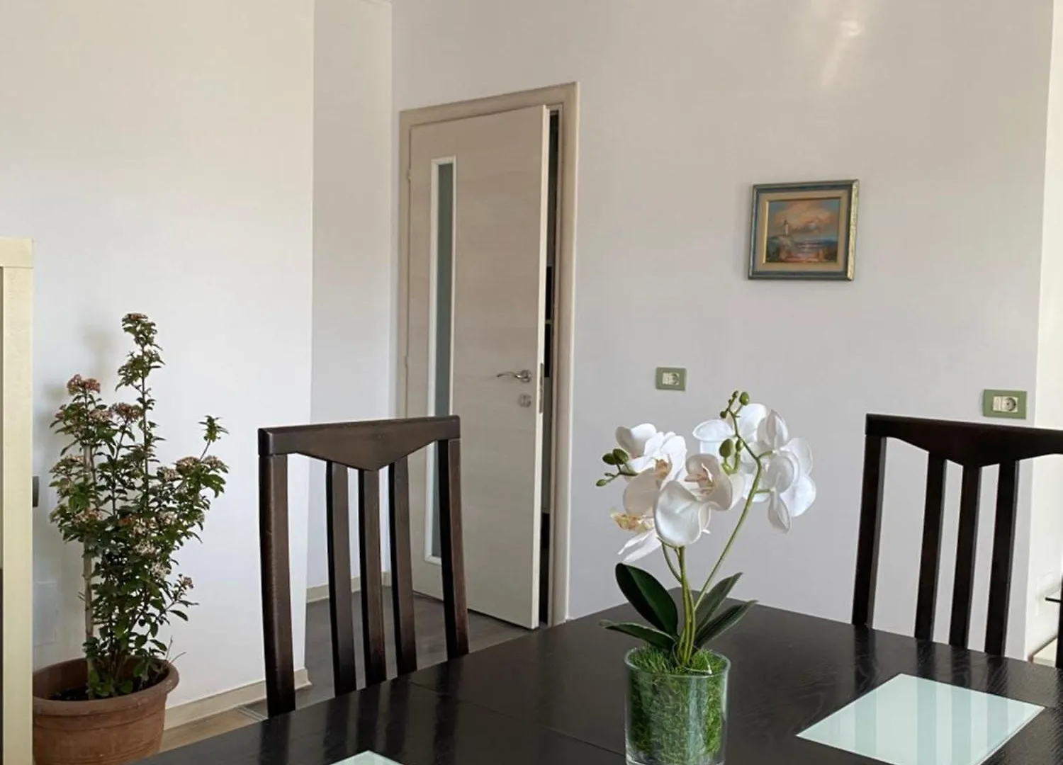 Main Apartment Tirana