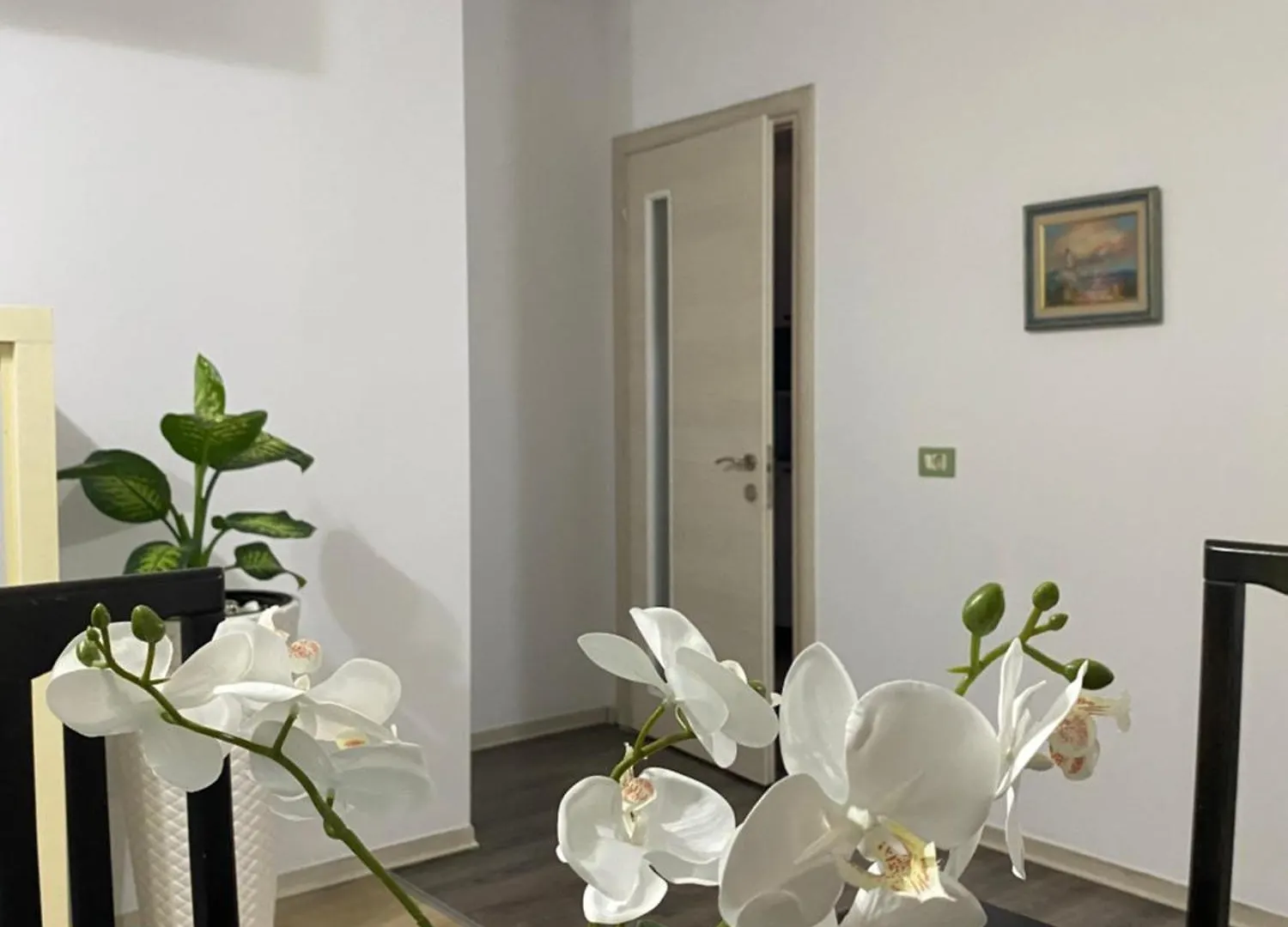 Main Apartment Tirana